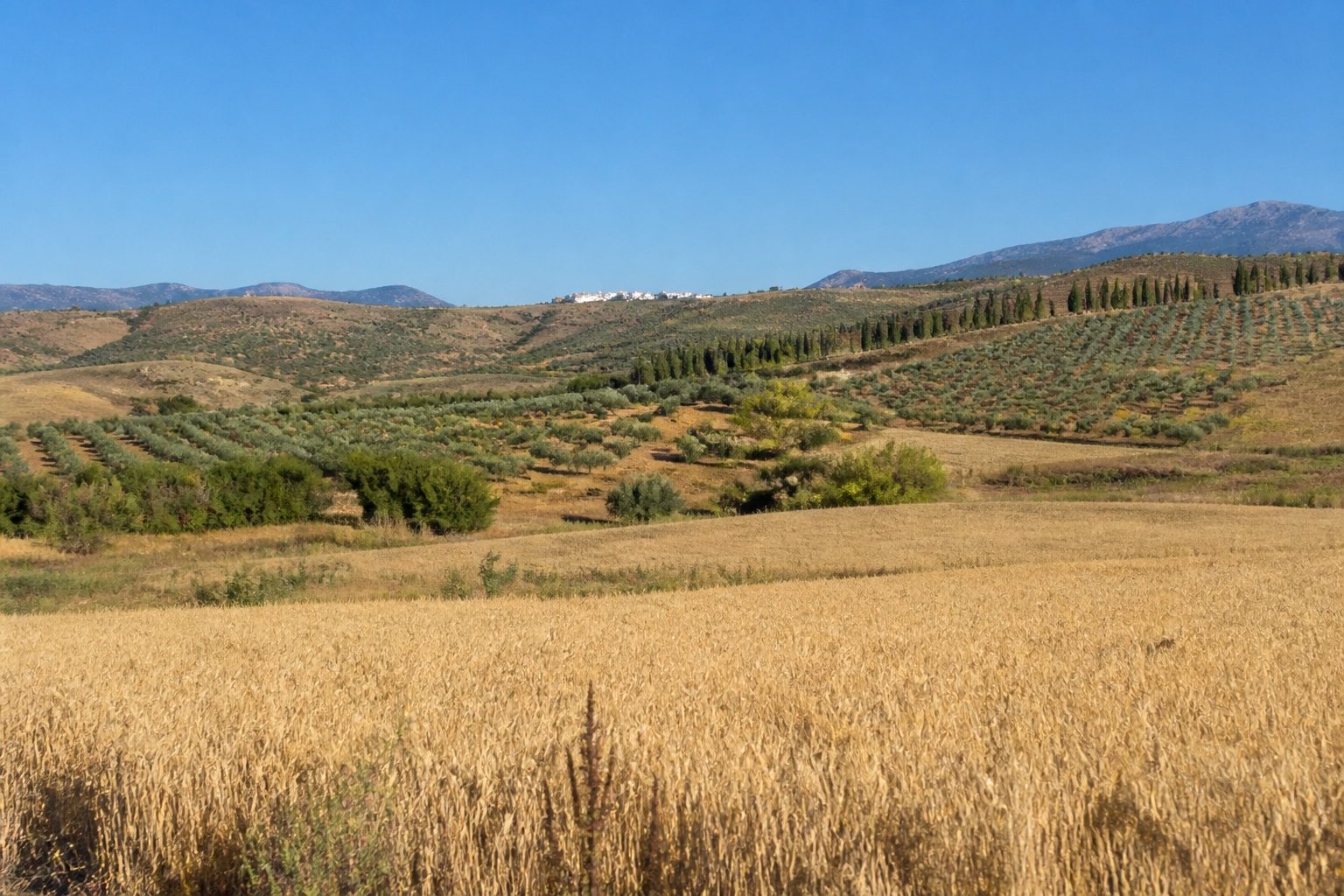 Álora